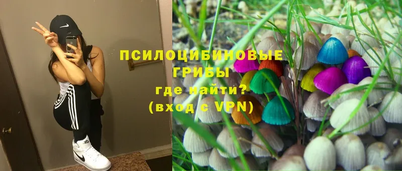 Псилоцибиновые грибы Magic Shrooms Куйбышев